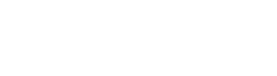 Southern AG Carriers, Inc. word knockout
